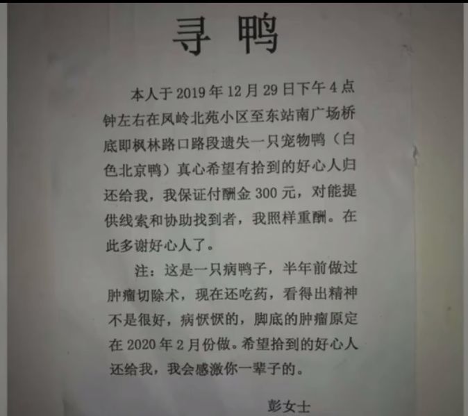 第1655页