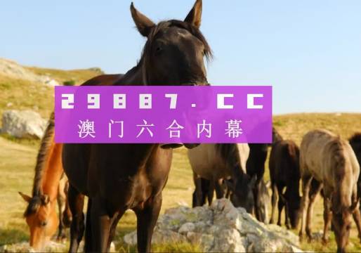 自行车配件 第254页