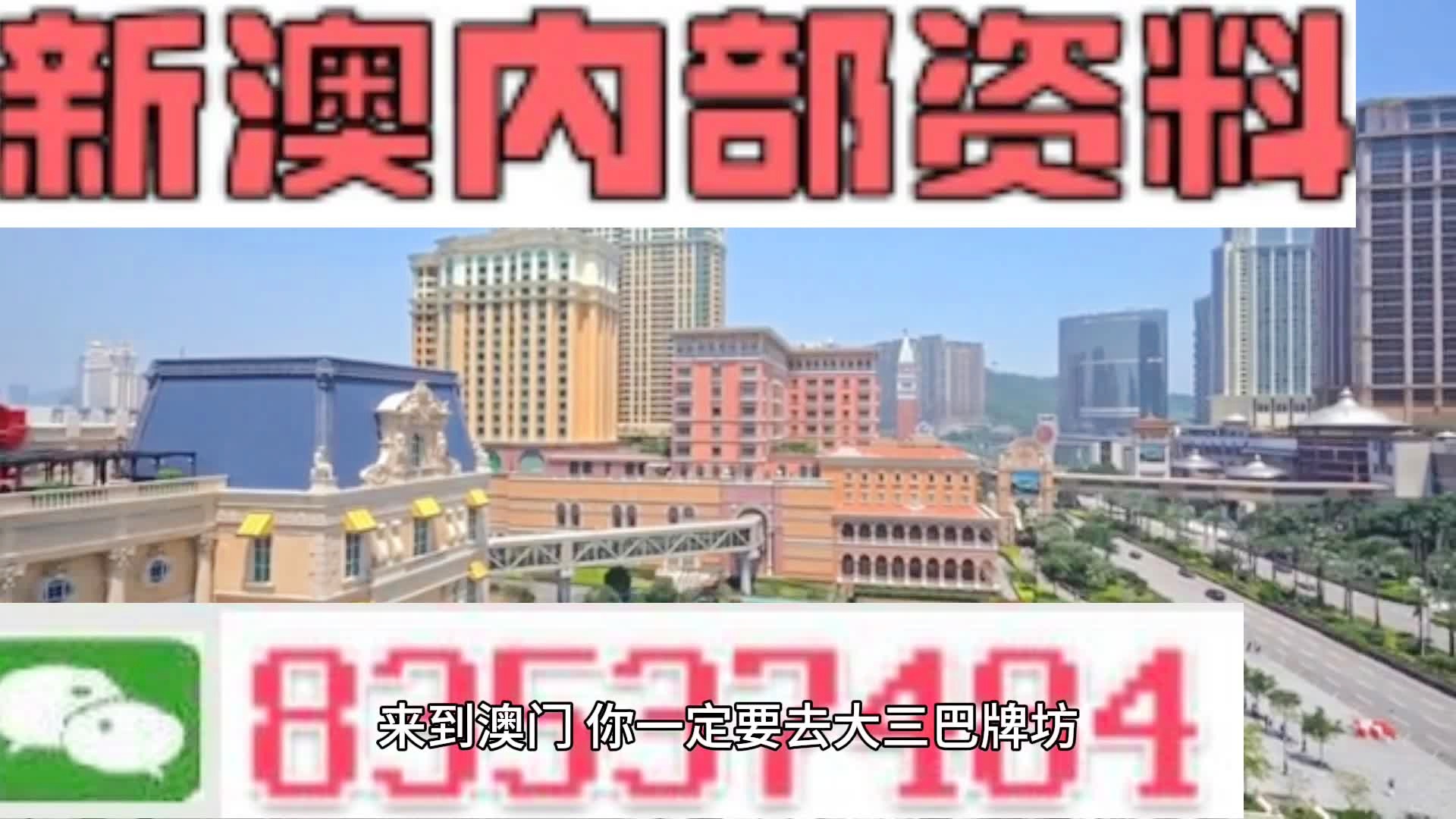 澳门王中王100%的资料2024年,专业调查具体解析_持久版10.333