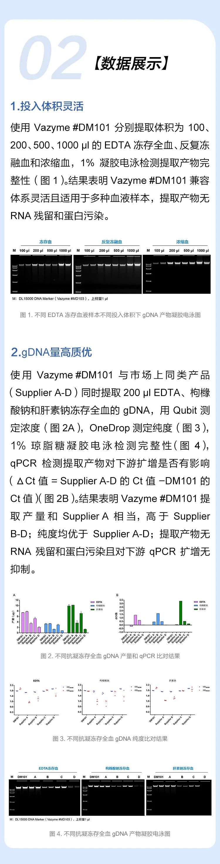 达雅高最新报告单图片,达雅高最新报告单图片——小巷中的独特美食探秘