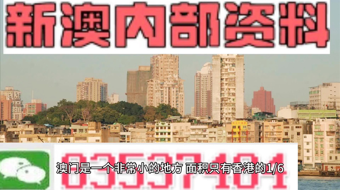 澳门免费精准材料资料大全,互动性策略设计_私人版1.554