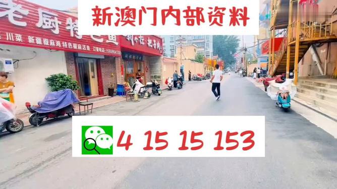 2024澳门天天开好彩大全蛊,深入挖掘解释说明_设计师版32.197