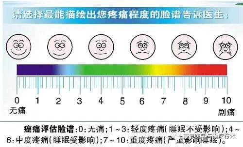关于疼痛评估量表最新指南的解读与科普知识分享