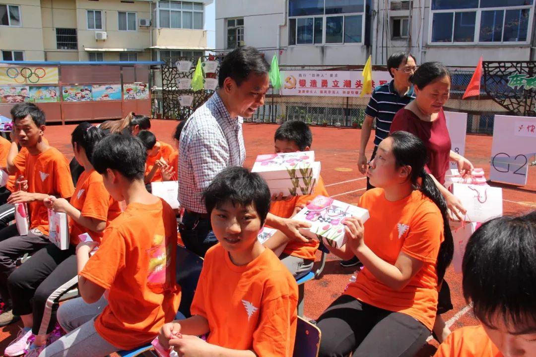 苔比赛全程指南，从初学者到进阶用户的详细步骤教程