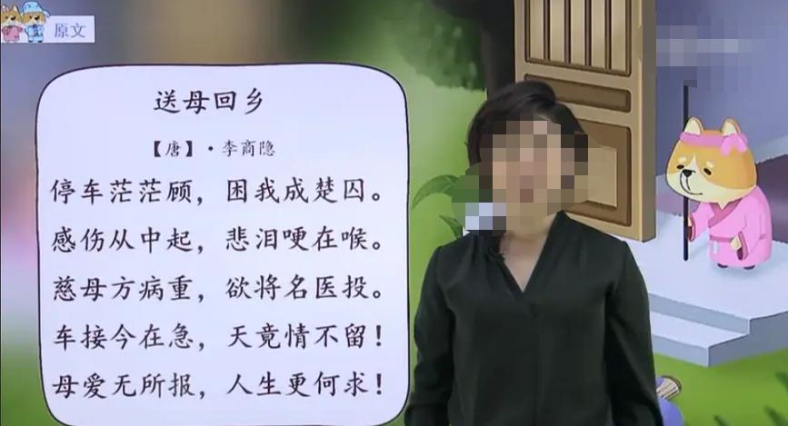 鹧鸪中最新视频发布，不容错过的精彩瞬间