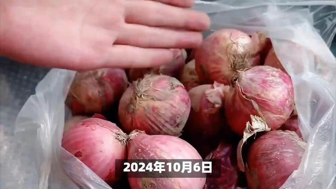 技术进出口 第106页