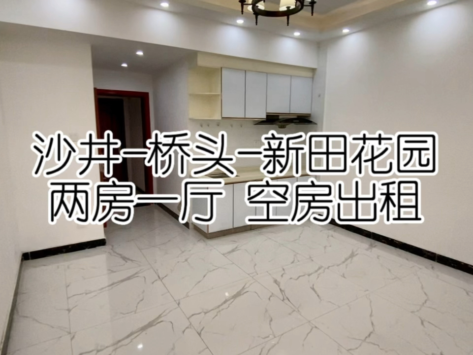 新田最新出租房揭秘，优质房源一览🏠✨