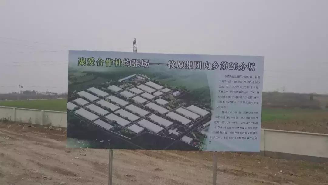 广东猪场最新招聘信息，科技智能养殖，开启未来新篇章