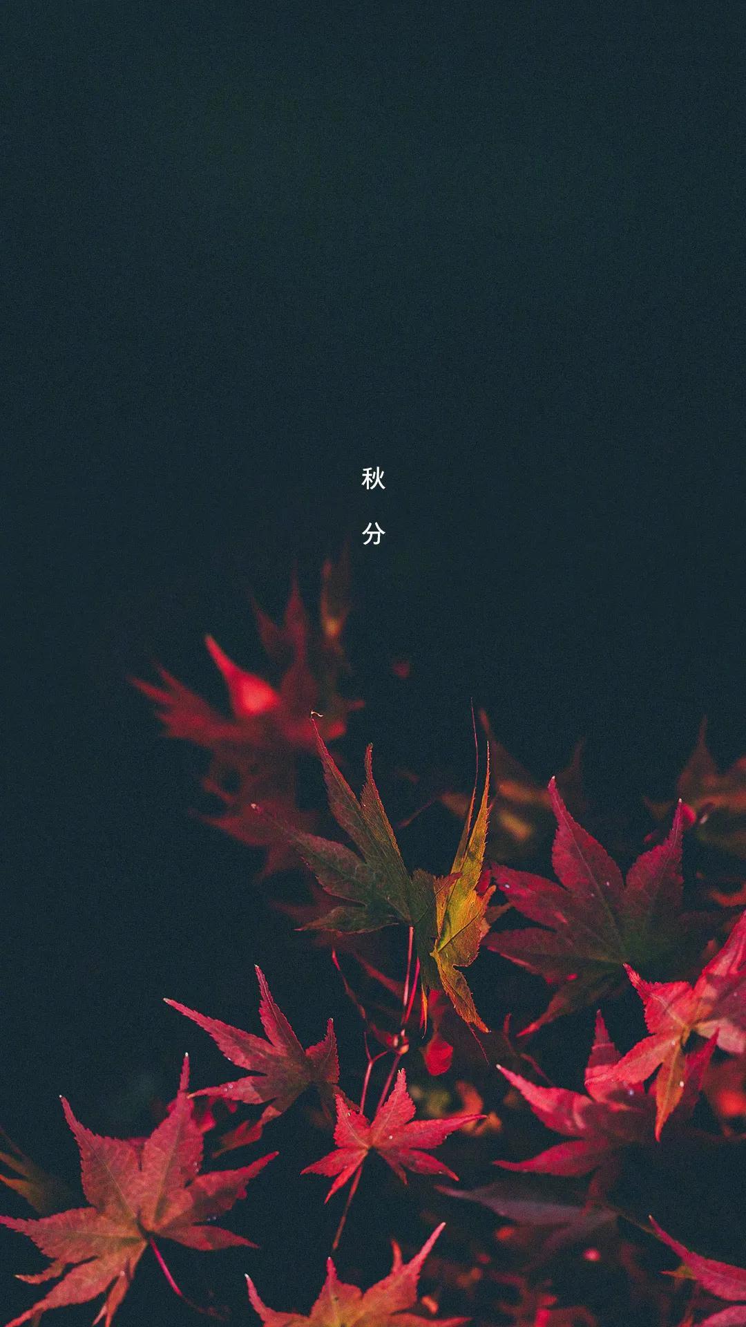 魁族最新手机，时代宠儿之选