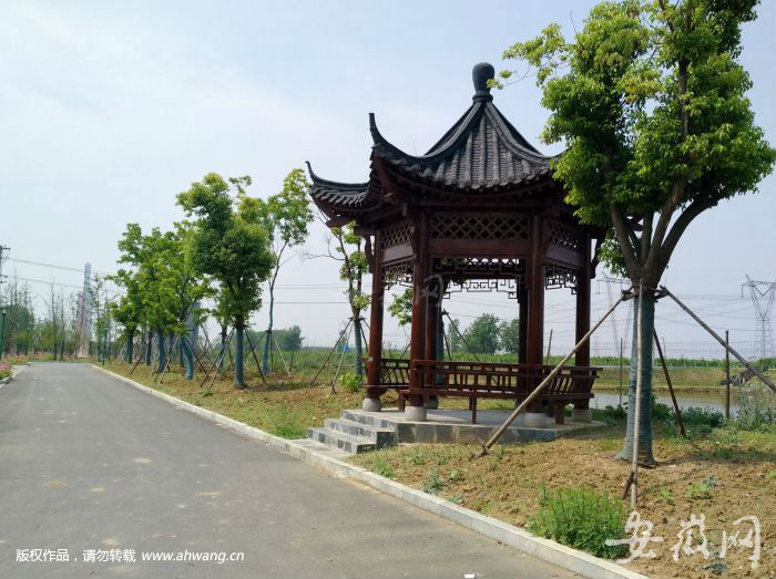 吴山至南岗最新动态，砥砺前行，自信成就未来之路