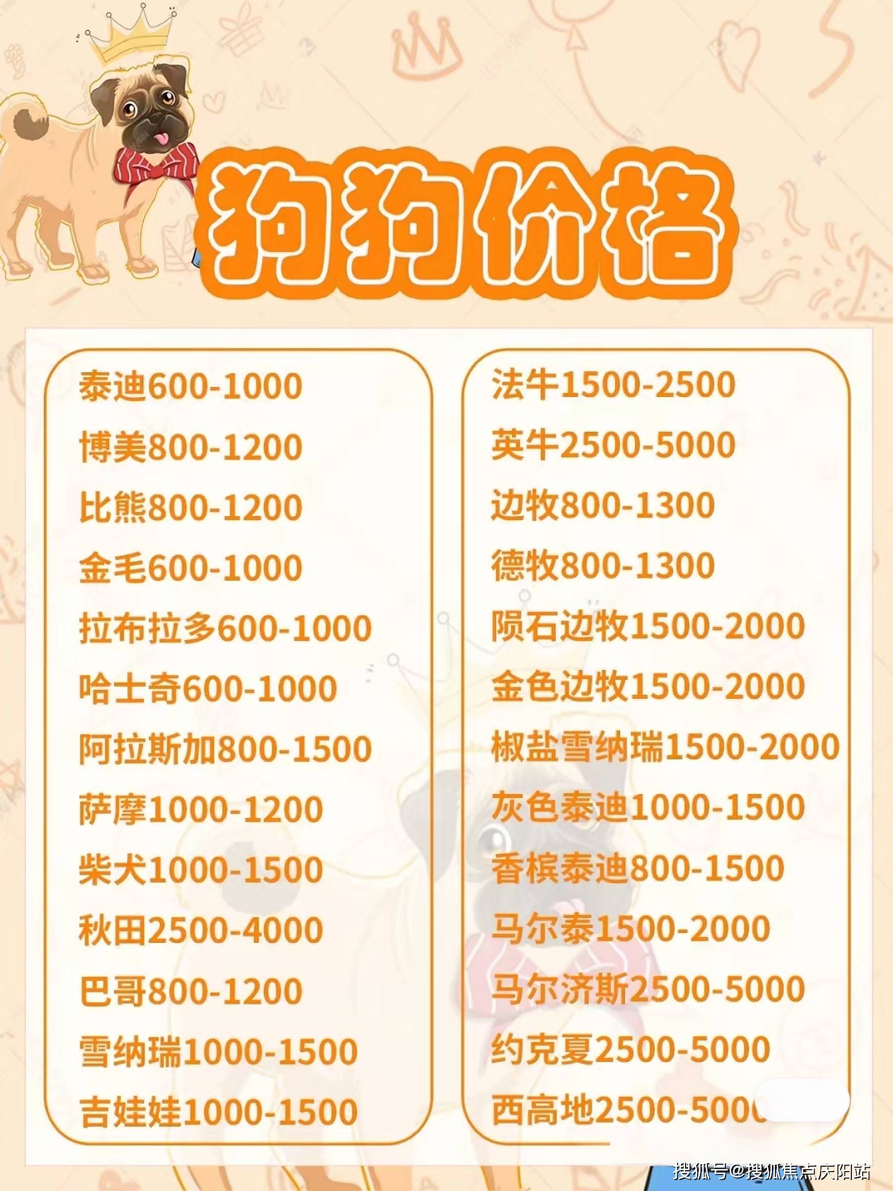 最新长毛牧羊犬价格