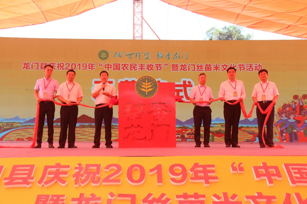 龙门县高科技新闻前沿，科技产品引领未来，体验科技魅力改变生活